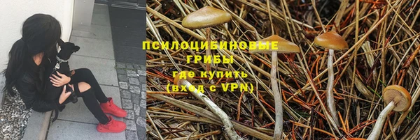 бутират Кукмор