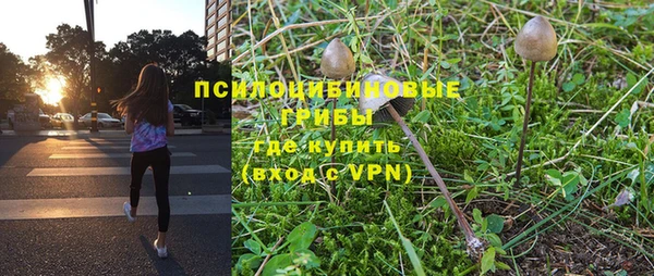 бутират Кукмор
